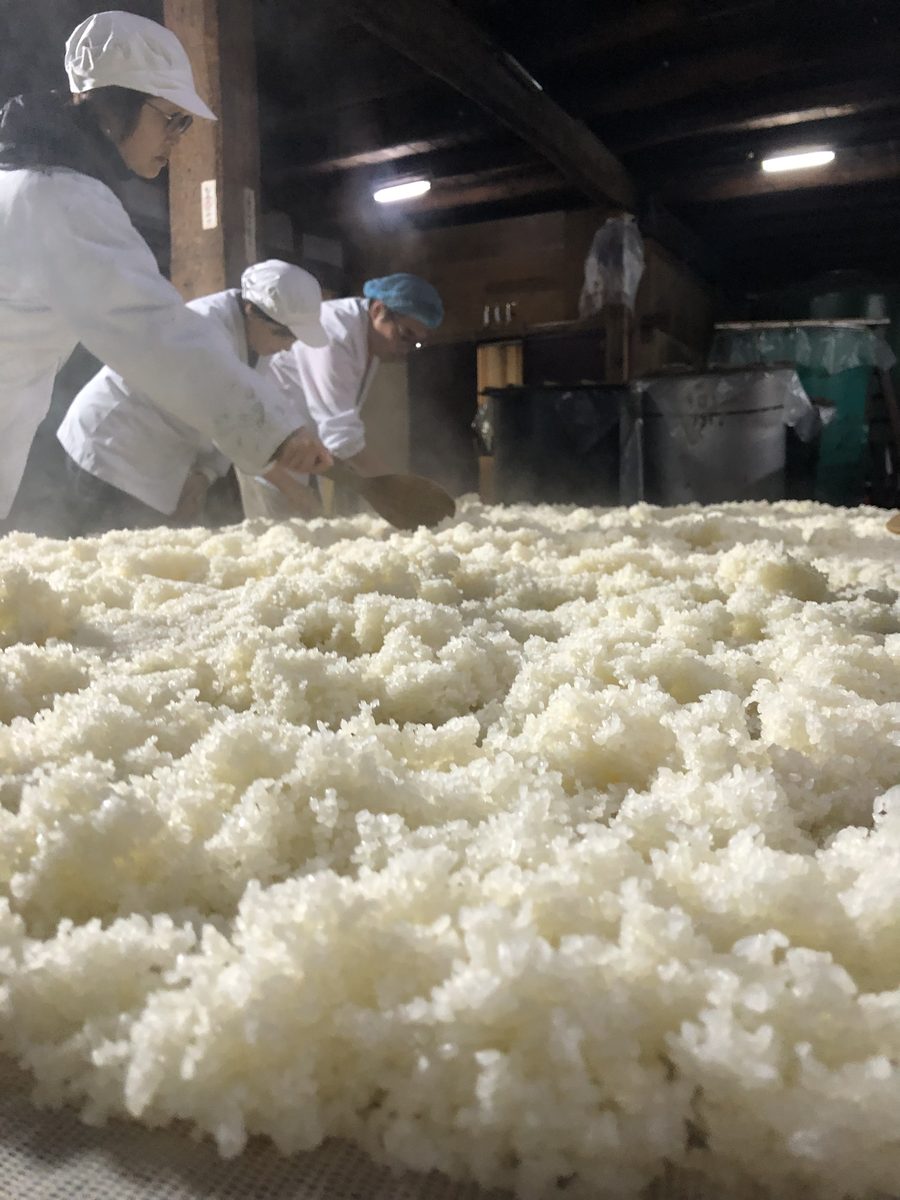 蒸米 ── 湯気の立つ蔵の仕込み作業