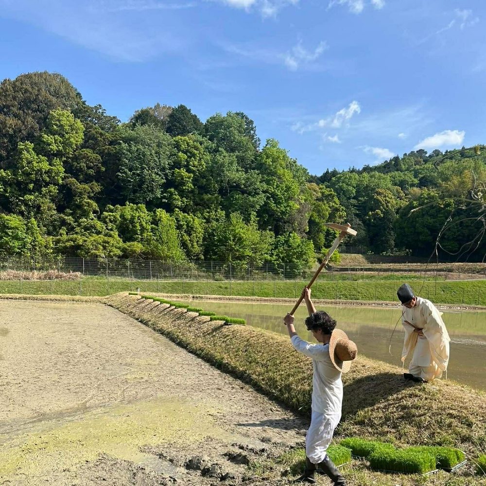 斎田にて ── 御田の営みは今も続く