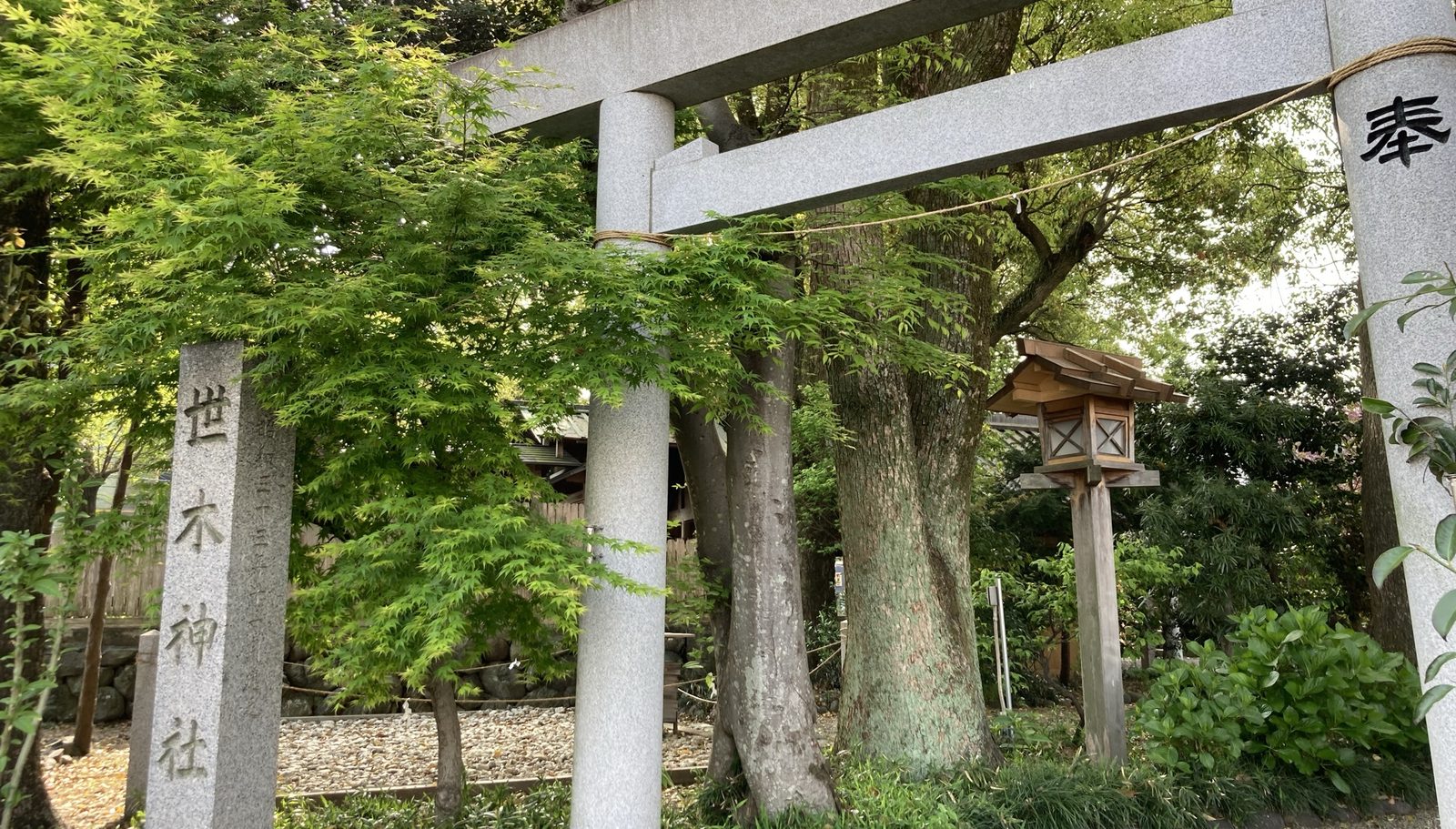 伊勢 世木神社の鳥居と社号標